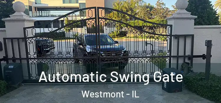 Automatic Swing Gate Westmont - IL