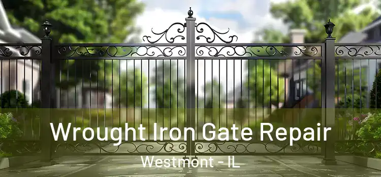 Wrought Iron Gate Repair Westmont - IL